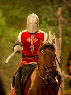 Desafío Medieval Magic Robin Hood
