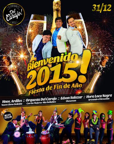 Bienvenido 2015 - Fiesta de Fin de Año Del Carajo