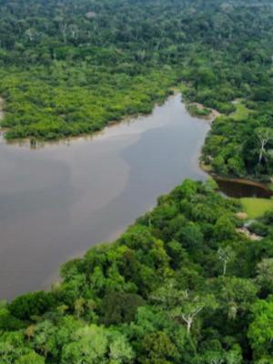 Turismo por el Amazonas desde Leticia
