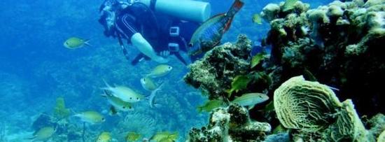 Hoteles en San Andr�s