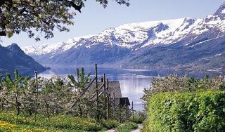 Eidfjord