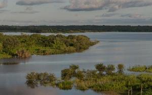 Imagen HEADER de fondo peque�a