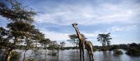 Kenia
