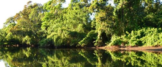 Viajes a Rio Grande