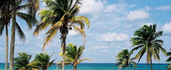 Viajes a Playa Larga