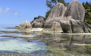 Rocas+