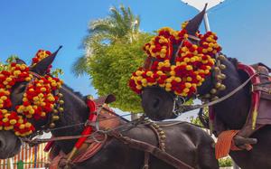 Caballos en la feria