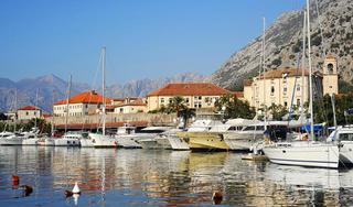 Kotor