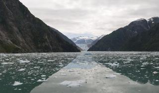 Tracy Arm
