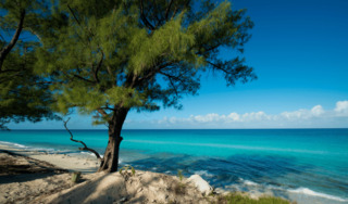 Bimini Island