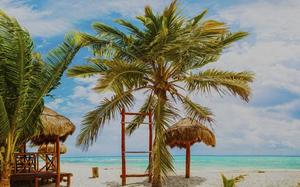 Imagen HEADER de fondo peque�a