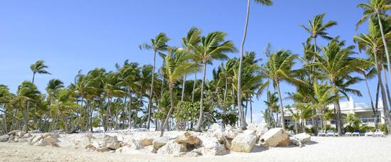 Viajes a Playa B?varo