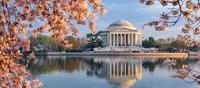 Washington DC