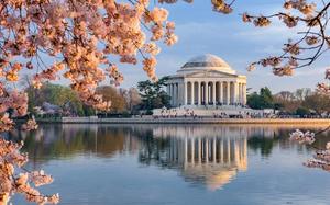 Washington DC