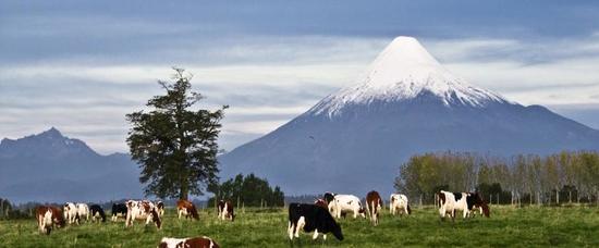 Viajes a Puerto Varas