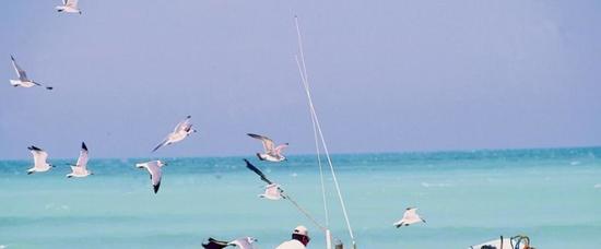 Viajes a Holbox