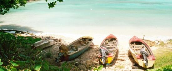 Viajes a Negril