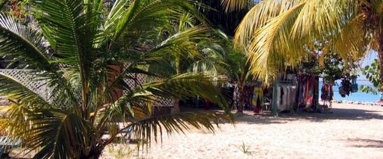 Viajes a Negril