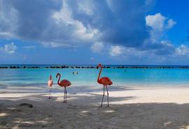 Aruba-Eagle Beach