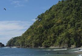 Jaco