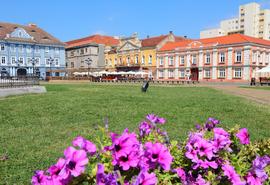 Timisoara