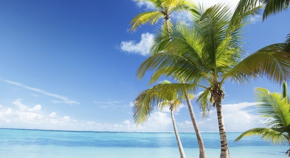 Vuelo + hotel a Punta Cana