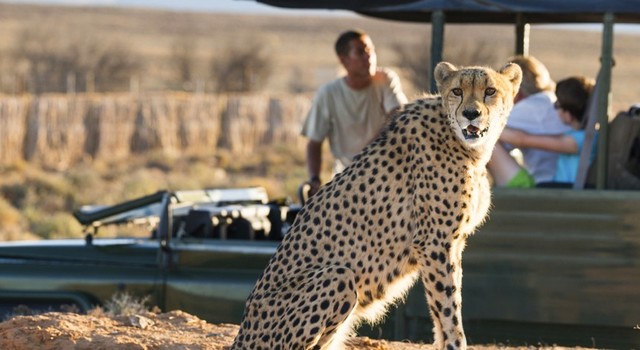 Leyendas de Sud�frica, Cataratas Victoria y Chobe 4