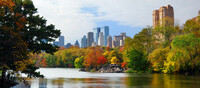 Joyas del Este con Nueva York