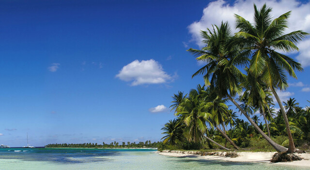 Orlando y Rep�blica Dominicana a tu aire 5