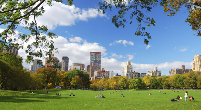 Nueva York y Rep�blica Dominicana a tu aire 3