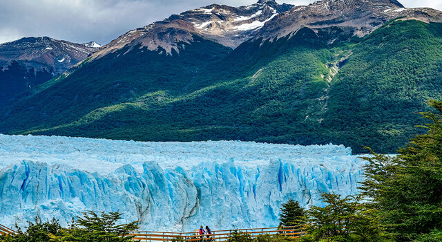 Calafate a tu estilo 2