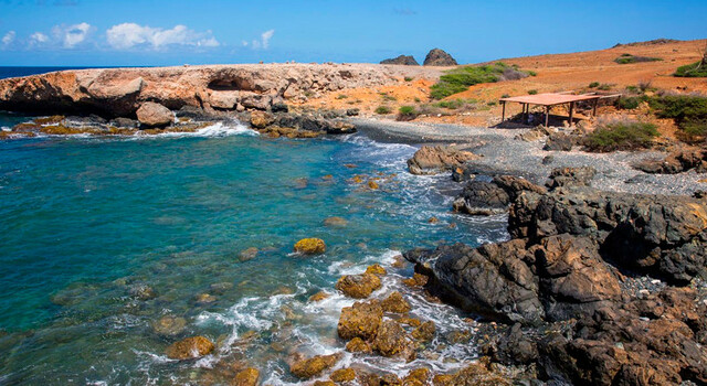 Aruba 4