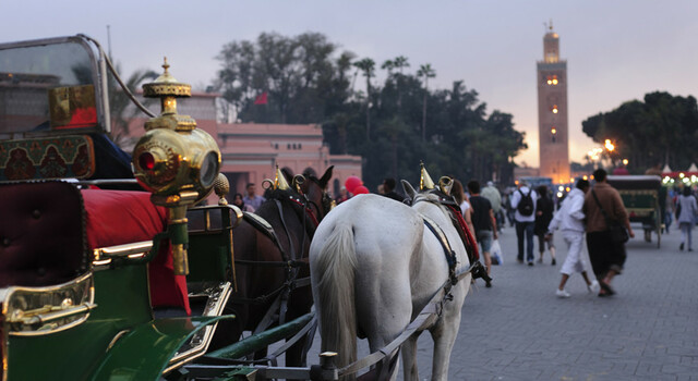 MPAMM: MADRID, PORTUGAL, ANDALUC�A & MARRUECOS CON COSTA DEL SOL Y TOLEDO 21 D�as 4