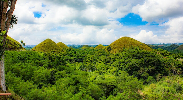 Filipinas en 8 d�as, Bohol y El Nido  5