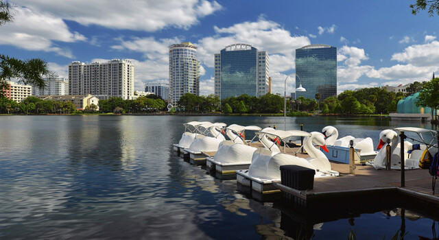 Combinado de Miami y Orlando 6