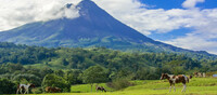 Esencias de Costa Rica: volcanes, naturaleza y playa