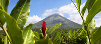Bosques m�sticos de Costa Rica