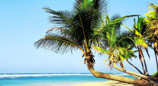 Paquete a Varadero 6