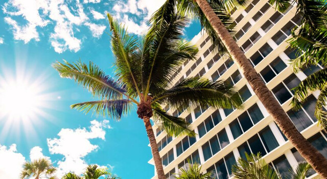 Combinado Miami y Orlando 4