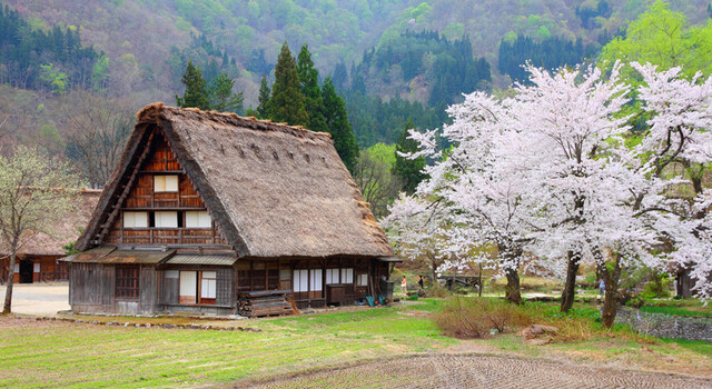 Jap�n Espiritual 2