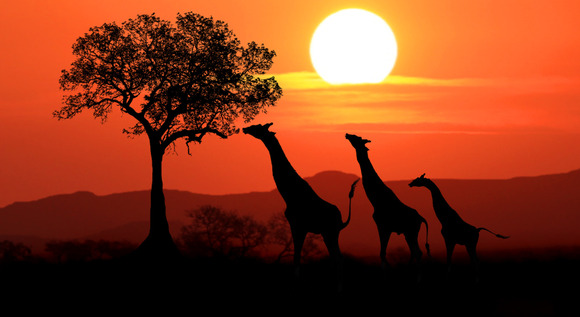 Leyendas de Sudáfrica