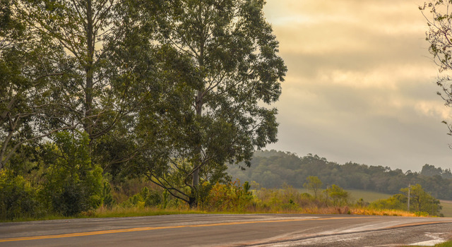 Viv� la Carretera Austral 5
