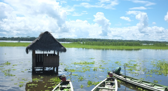 Iquitos con avistamiento de Aves en Rio Amazonas