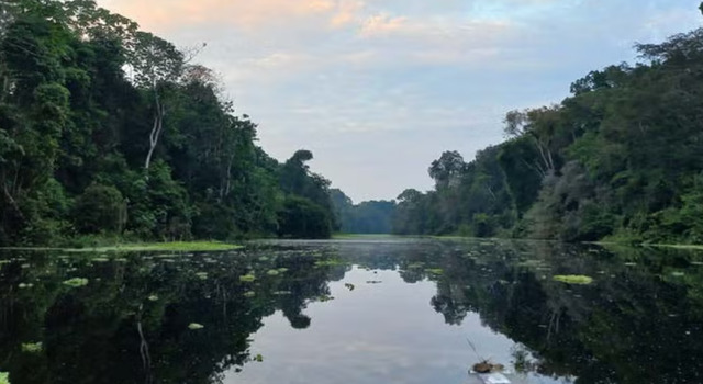 Iquitos con avistamiento de Aves en Rio Amazonas 1