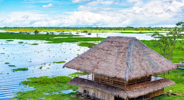 Iquitos con avistamiento de Aves en Rio Amazonas 5