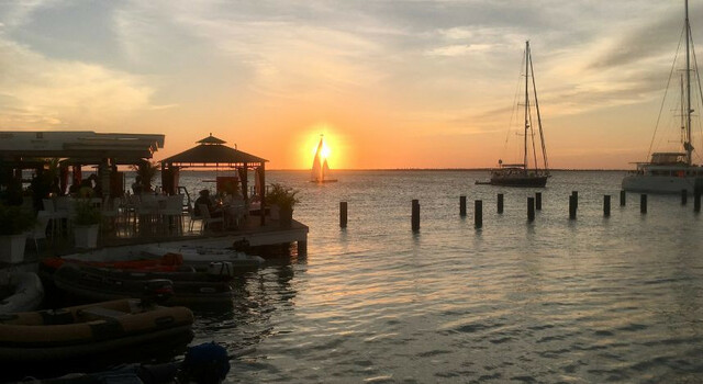 Bonaire, explor� arrecifes, viv� el mar 3