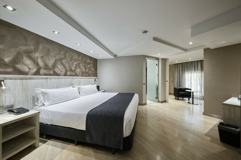 Hotel Catalonia Sagrada Familia