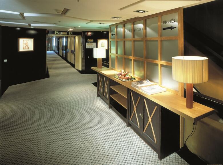 Hotel Princesa Plaza Madrid