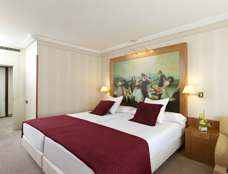 Hotel Princesa Plaza Madrid