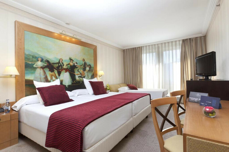 Hotel Princesa Plaza Madrid